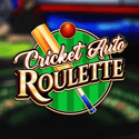 500x Auto Marble Roulette
